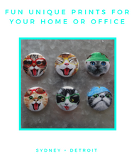 Funny Cat Magnets - Set of 6