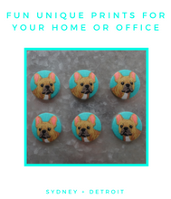 Turquoise Frenchie Dog Magnets Set of 6